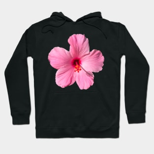 Pink hibiscus Hoodie